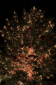 20141225205756