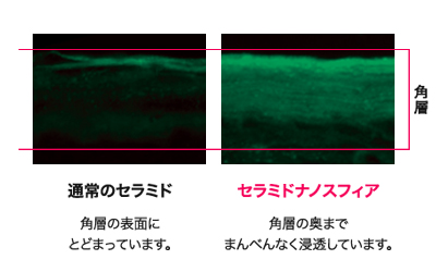 f:id:konayuri52005:20161030220924j:plain f:id:konayuri52005:20161030220924j:plain