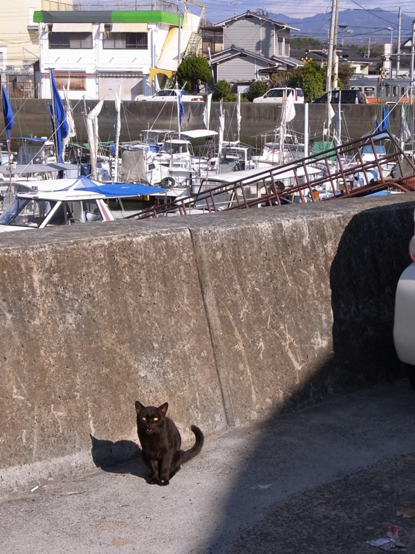 f:id:konbumori:20120107130555j:image:w480