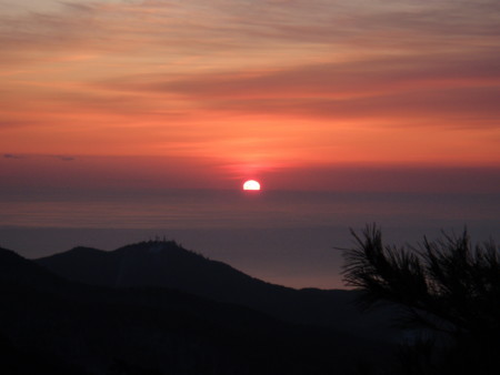 f:id:konchang:20120101064942j:image