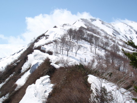 f:id:konchang:20120513095135j:image