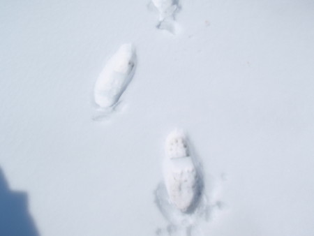 f:id:konchang:20120513100647j:image