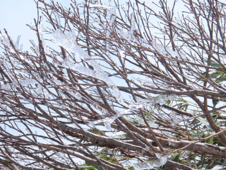 f:id:konchang:20120513112138j:image