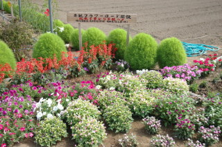 f:id:kondo_pr:20190625200015j:plain f:id:kondo_pr:20190625200015j:plain
