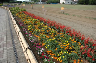 f:id:kondo_pr:20190625200024j:plain f:id:kondo_pr:20190625200024j:plain