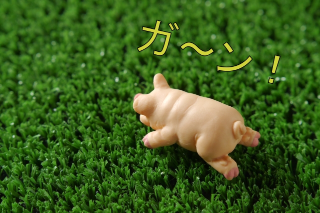 サラダチキンダイエット　失敗