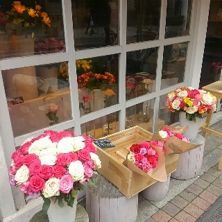 f:id:koneko33:20180318124739j:image f:id:koneko33:20180318124739j:image