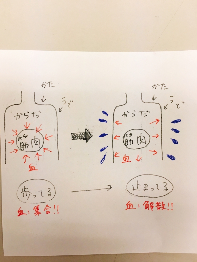 f:id:koneko33:20180511131233j:plain f:id:koneko33:20180511131233j:plain