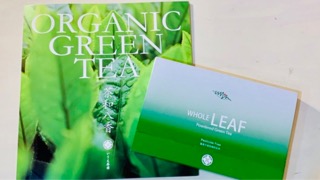 f:id:koneko33:20190823130623j:plain f:id:koneko33:20190823130623j:plain