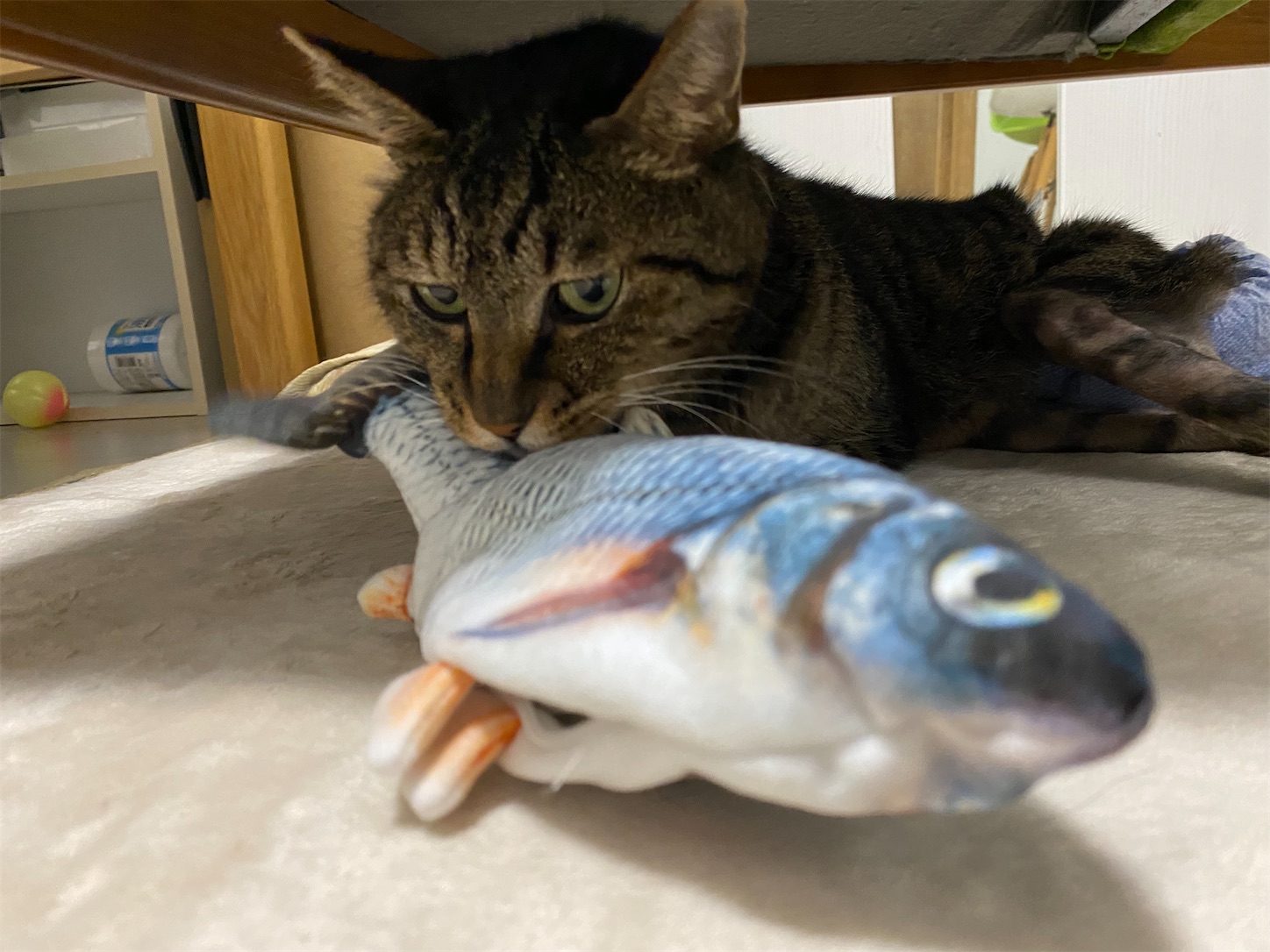 f:id:konekoneneko:20220825190410j:image