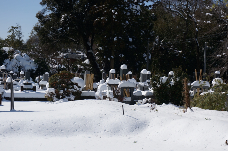 f:id:kongouji110:20140209111441j:image:w360