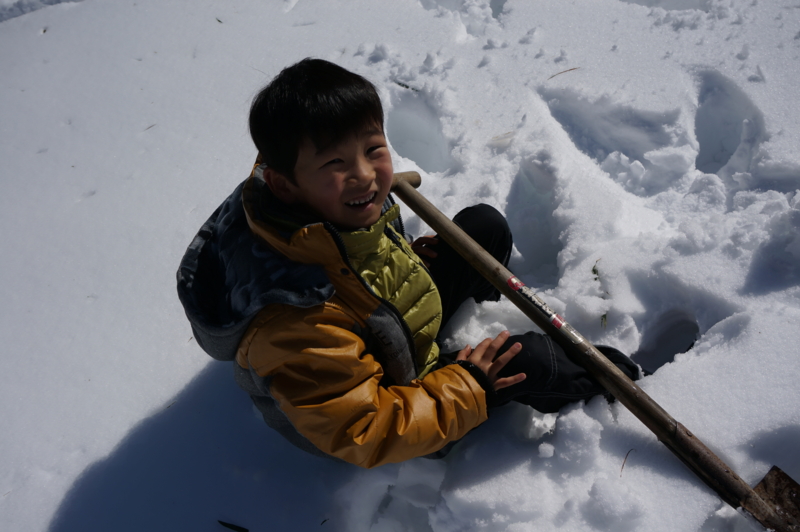 f:id:kongouji110:20140209111927j:image:w360