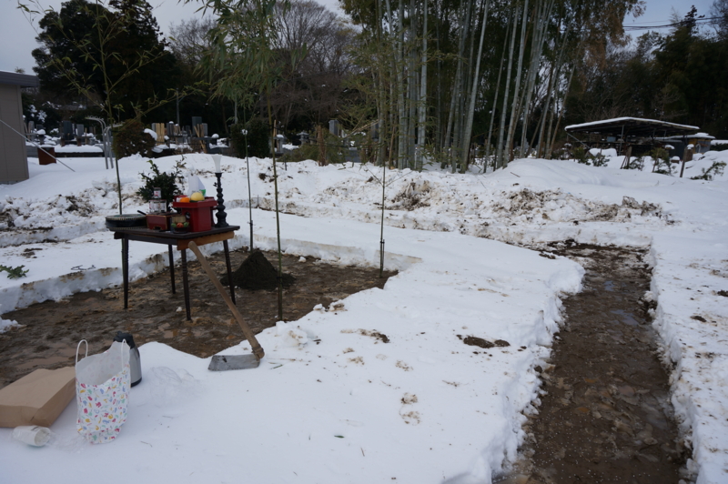 f:id:kongouji110:20140210091054j:image:w360