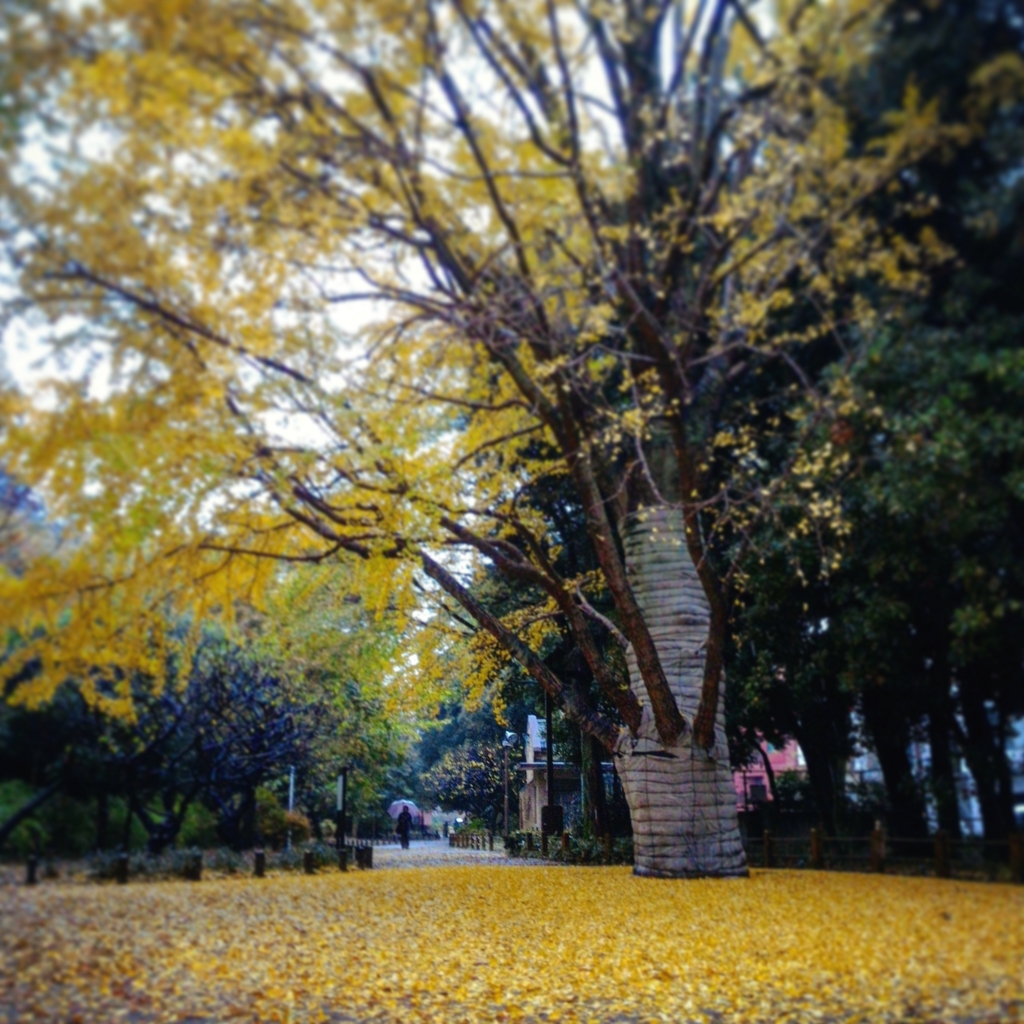 f:id:konifar:20161124185024j:plain