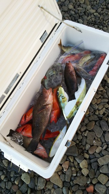f:id:konishi42:20201218044736j:plain