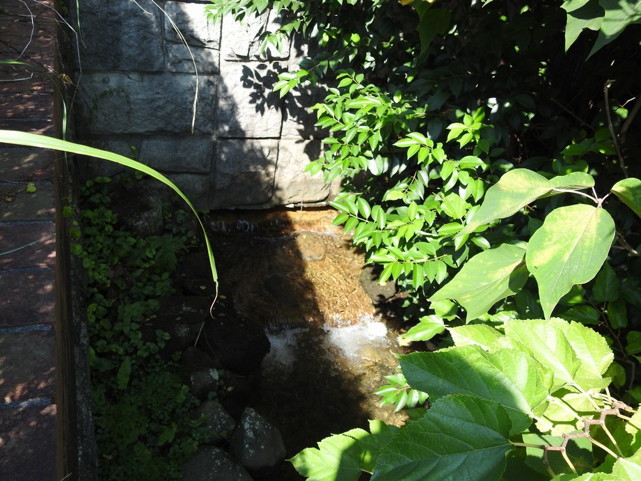 f:id:konjac-enma:20201021172351j:plain f:id:konjac-enma:20201021172351j:plain