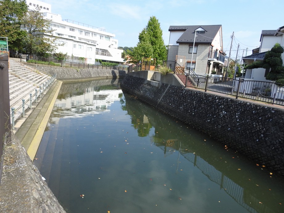 f:id:konjac-enma:20201022113352j:plain f:id:konjac-enma:20201022113352j:plain