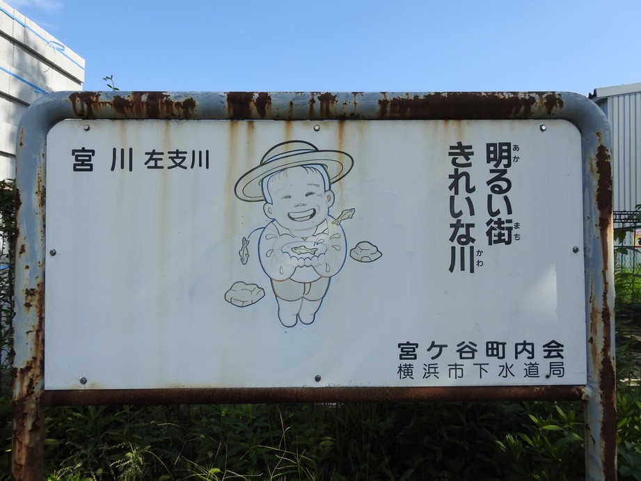 f:id:konjac-enma:20201023164636j:plain f:id:konjac-enma:20201023164636j:plain