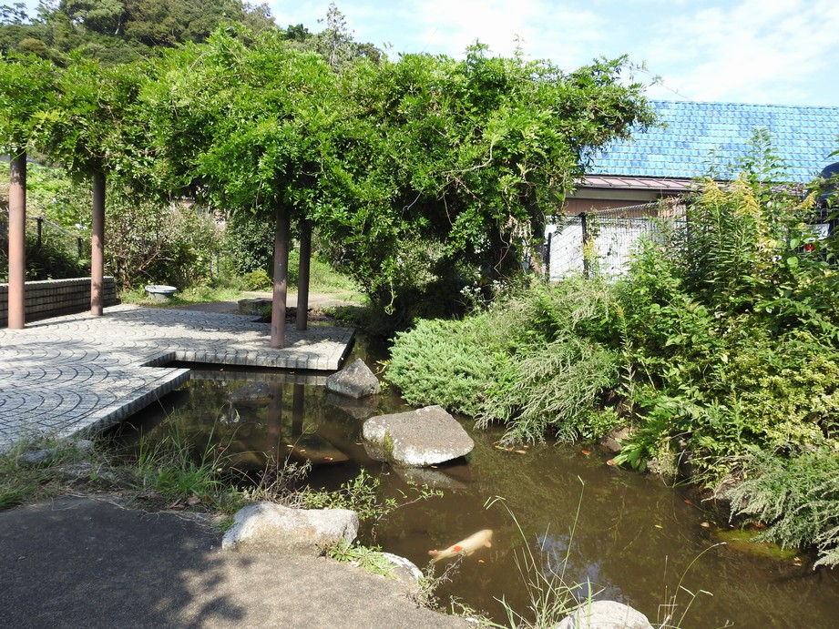 f:id:konjac-enma:20201023164837j:plain f:id:konjac-enma:20201023164837j:plain