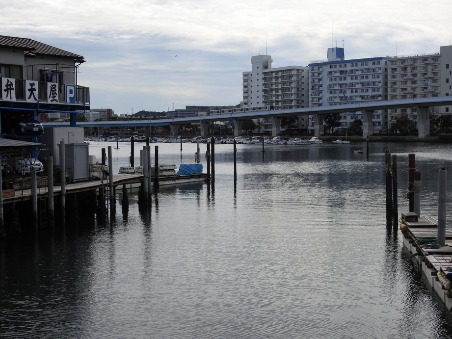 f:id:konjac-enma:20201024105150j:plain f:id:konjac-enma:20201024105150j:plain