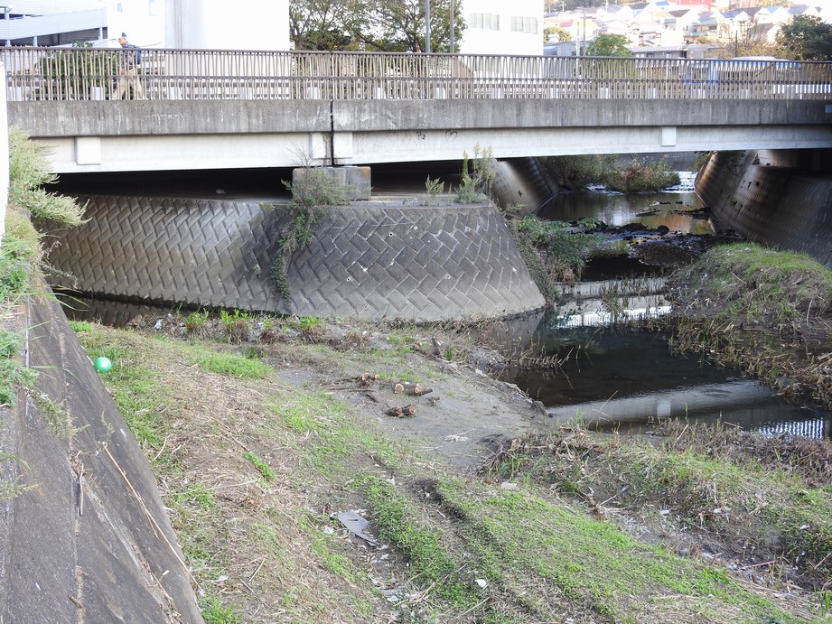 f:id:konjac-enma:20201109142305j:plain f:id:konjac-enma:20201109142305j:plain