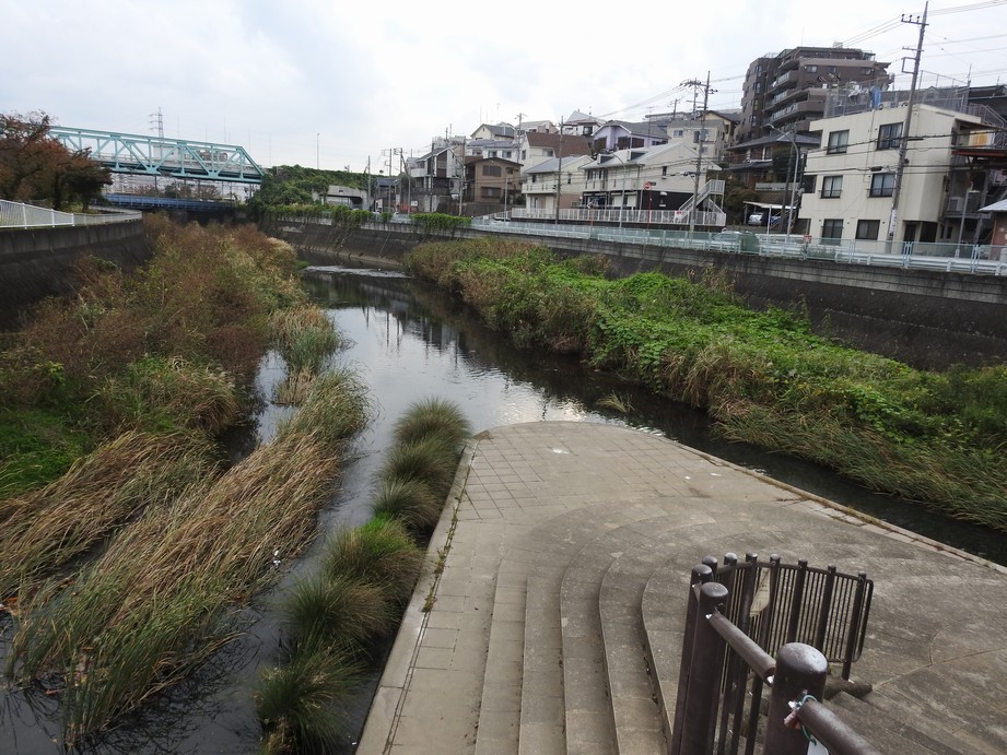 f:id:konjac-enma:20201109144750j:plain f:id:konjac-enma:20201109144750j:plain