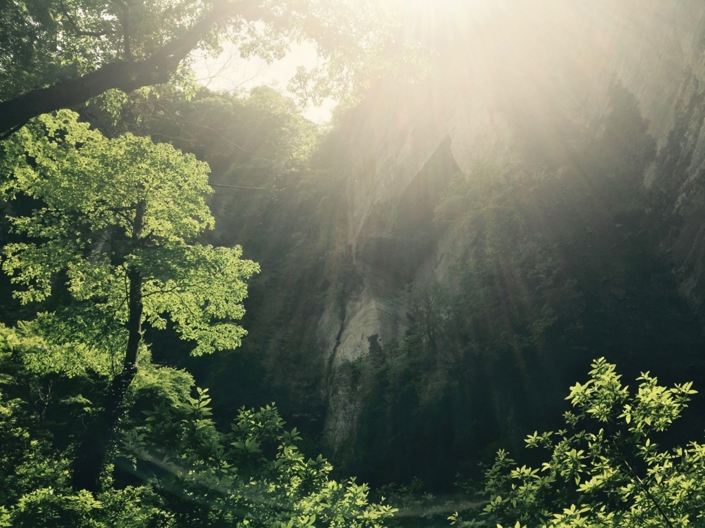 f:id:konjac-susan:20170709095335j:plain f:id:konjac-susan:20170709095335j:plain