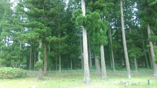 イメージ 5