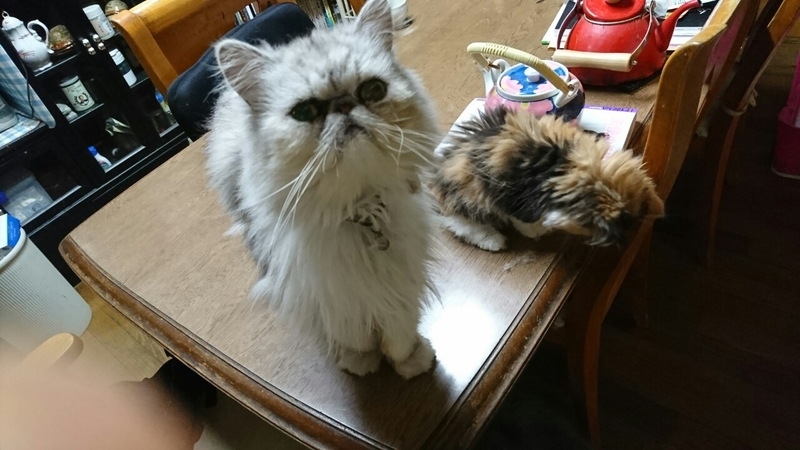 イメージ 4