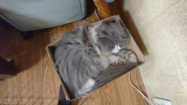 イメージ 2
