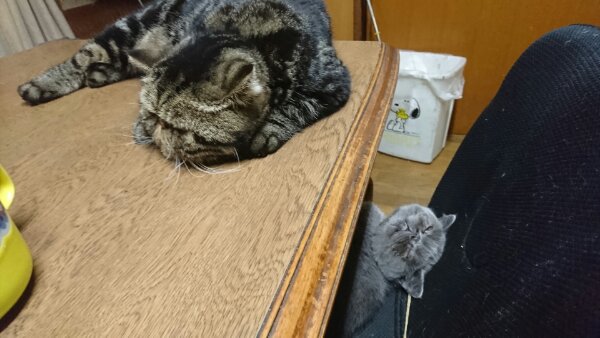 イメージ 3