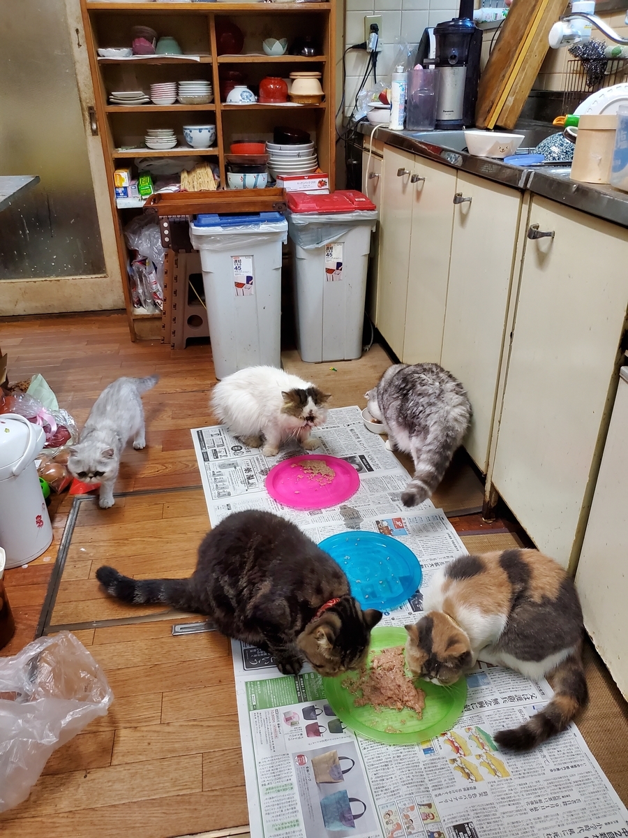f:id:konjichoin:20190825180054j:plain f:id:konjichoin:20190825180054j:plain