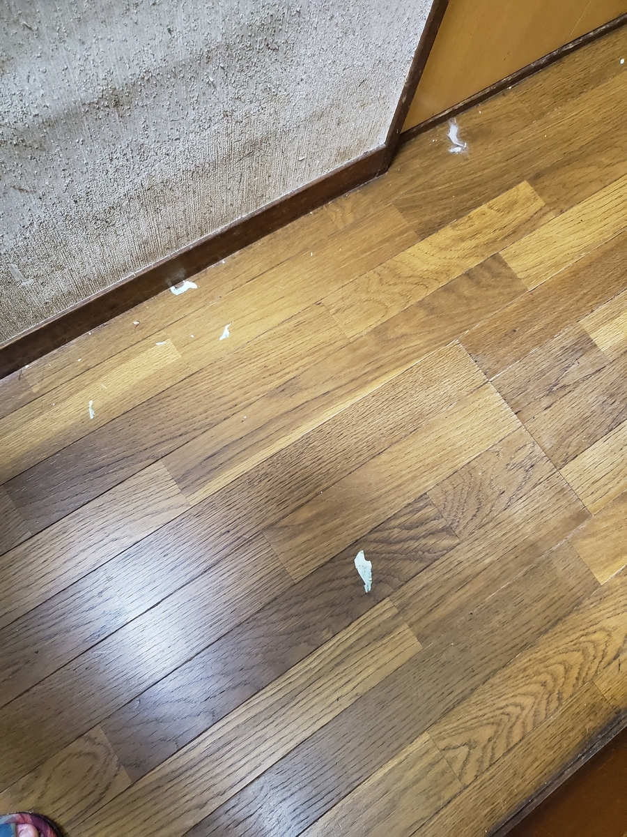 f:id:konjichoin:20190902213437j:plain f:id:konjichoin:20190902213437j:plain