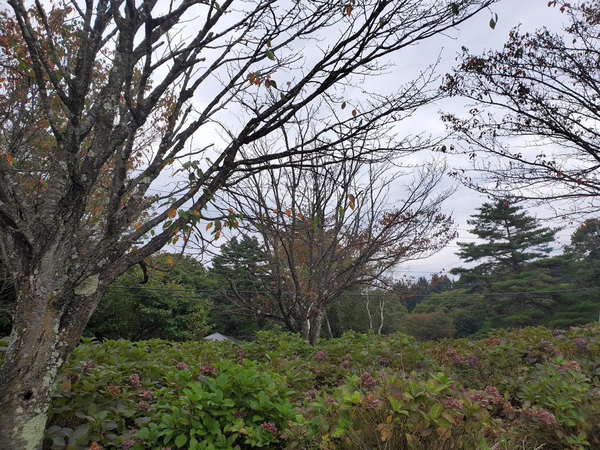 f:id:konjichoin:20190928230521j:plain