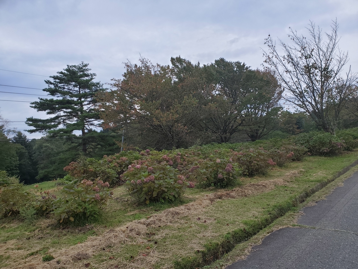 f:id:konjichoin:20190928230559j:plain