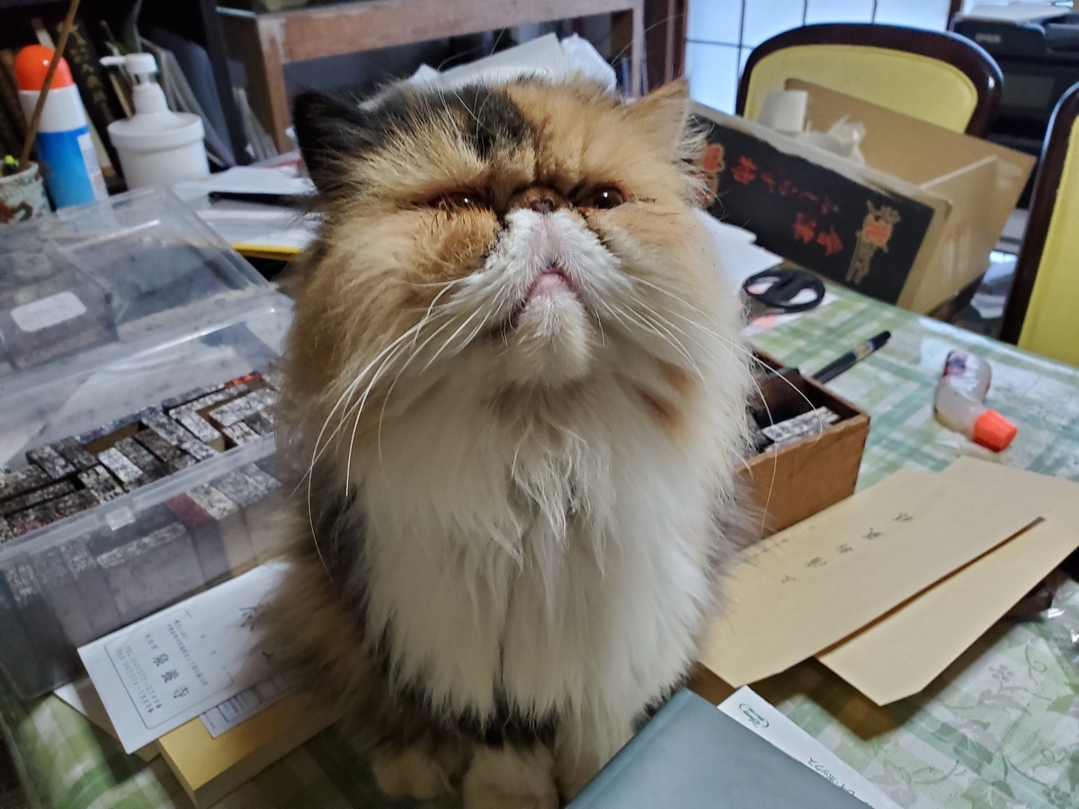 f:id:konjichoin:20191129083204j:plain