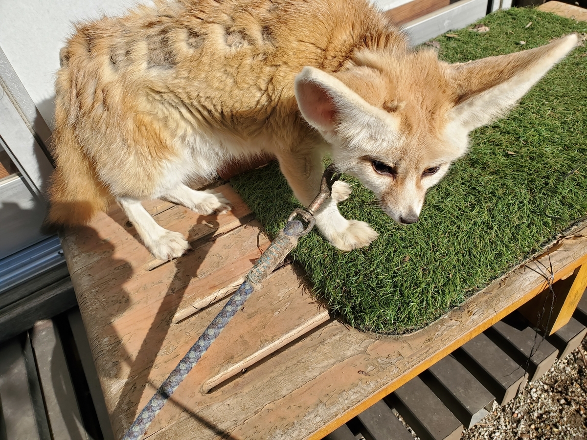 f:id:konjichoin:20191208172051j:plain f:id:konjichoin:20191208172051j:plain