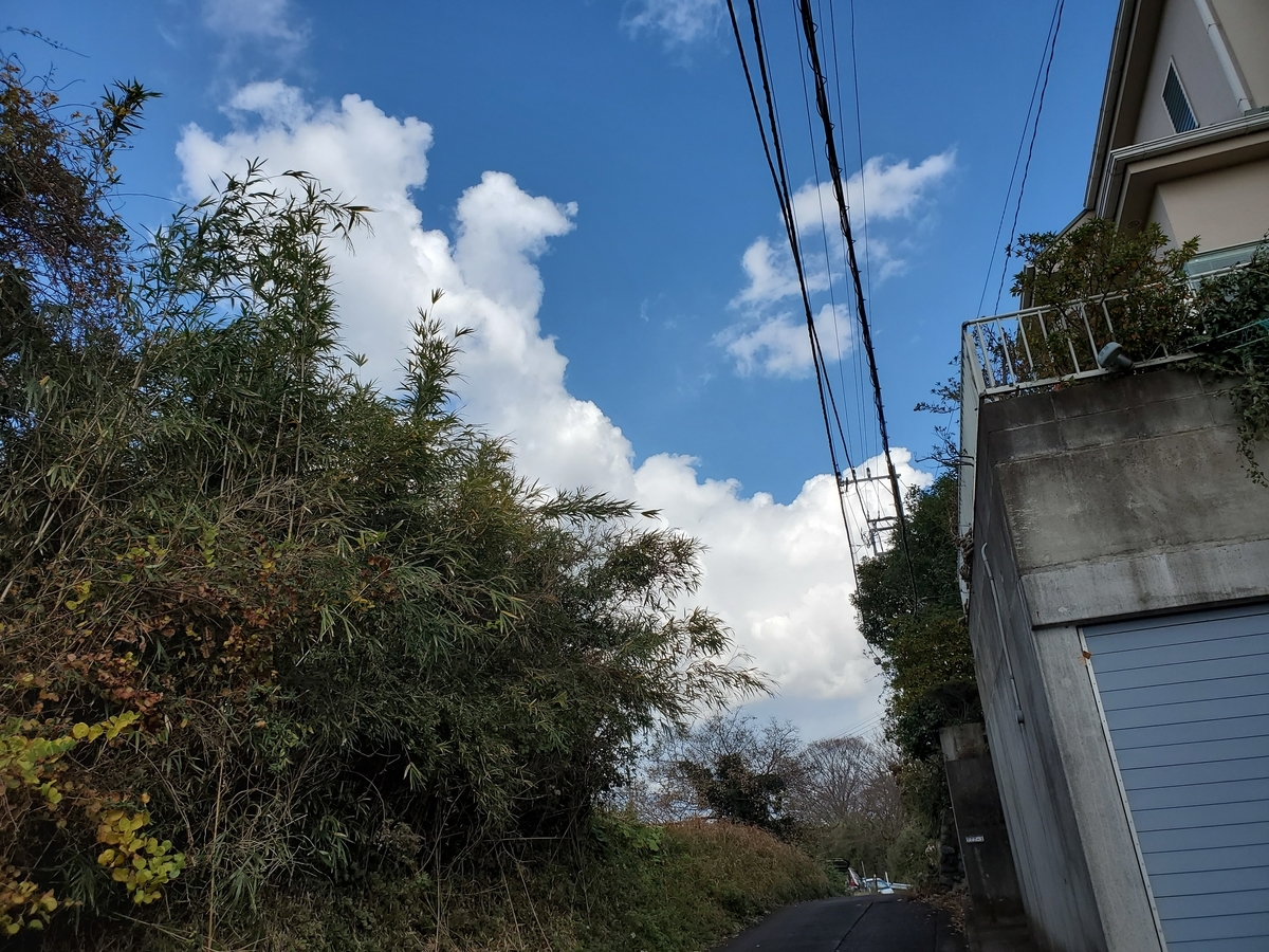 f:id:konjichoin:20191227175448j:plain