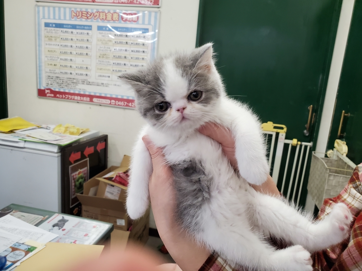 f:id:konjichoin:20191227180747j:plain