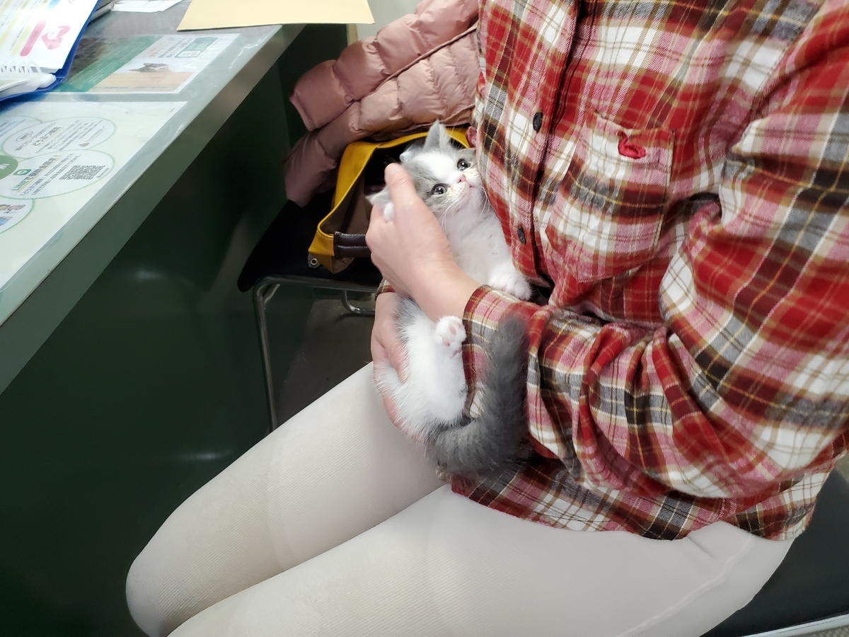 f:id:konjichoin:20191227180917j:plain