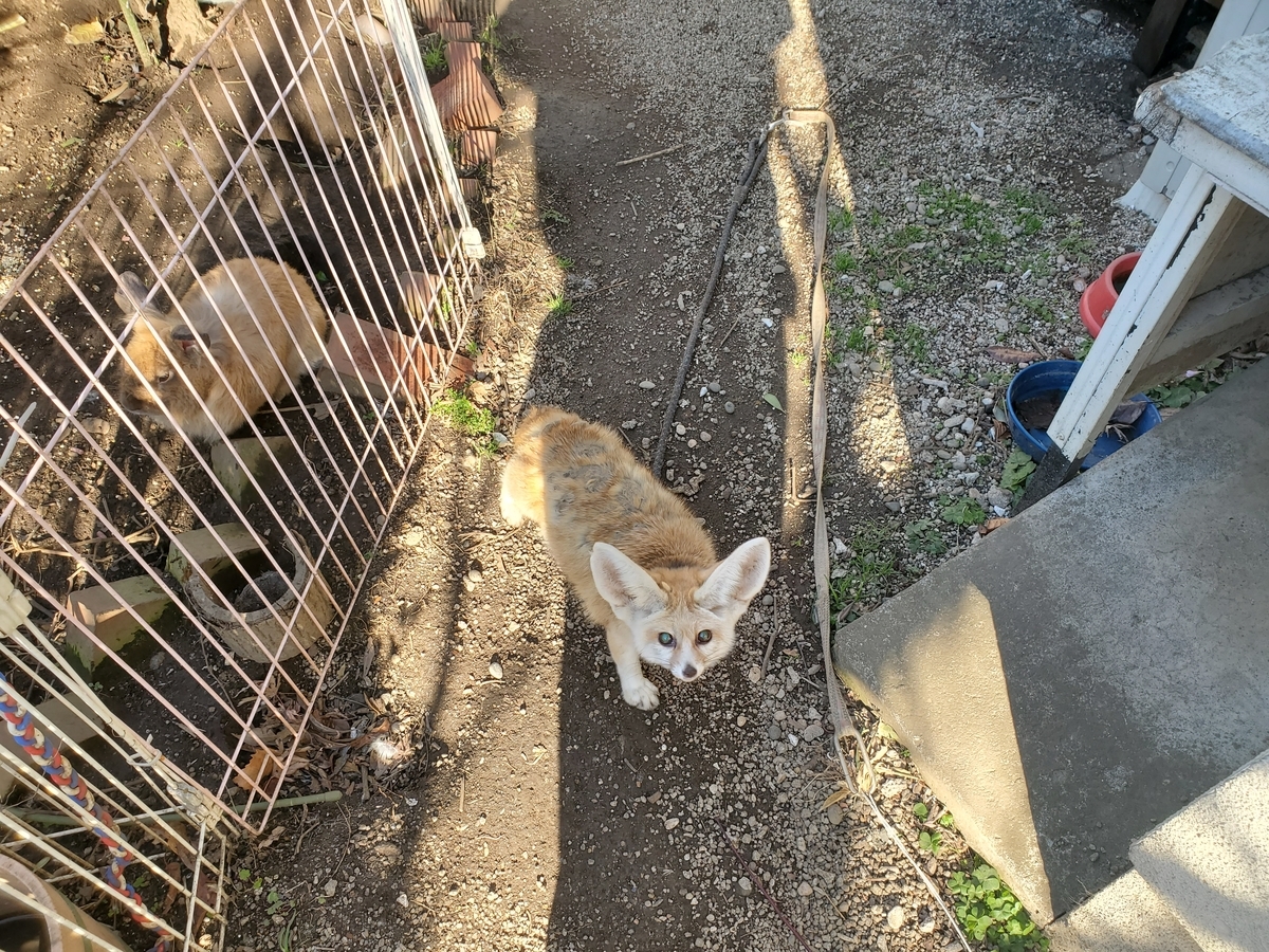 f:id:konjichoin:20191231095937j:plain