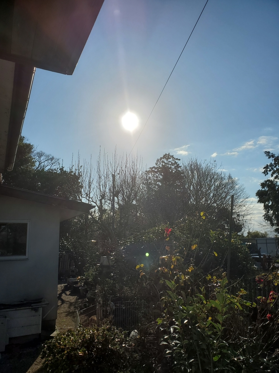 f:id:konjichoin:20200101100028j:plain f:id:konjichoin:20200101100028j:plain