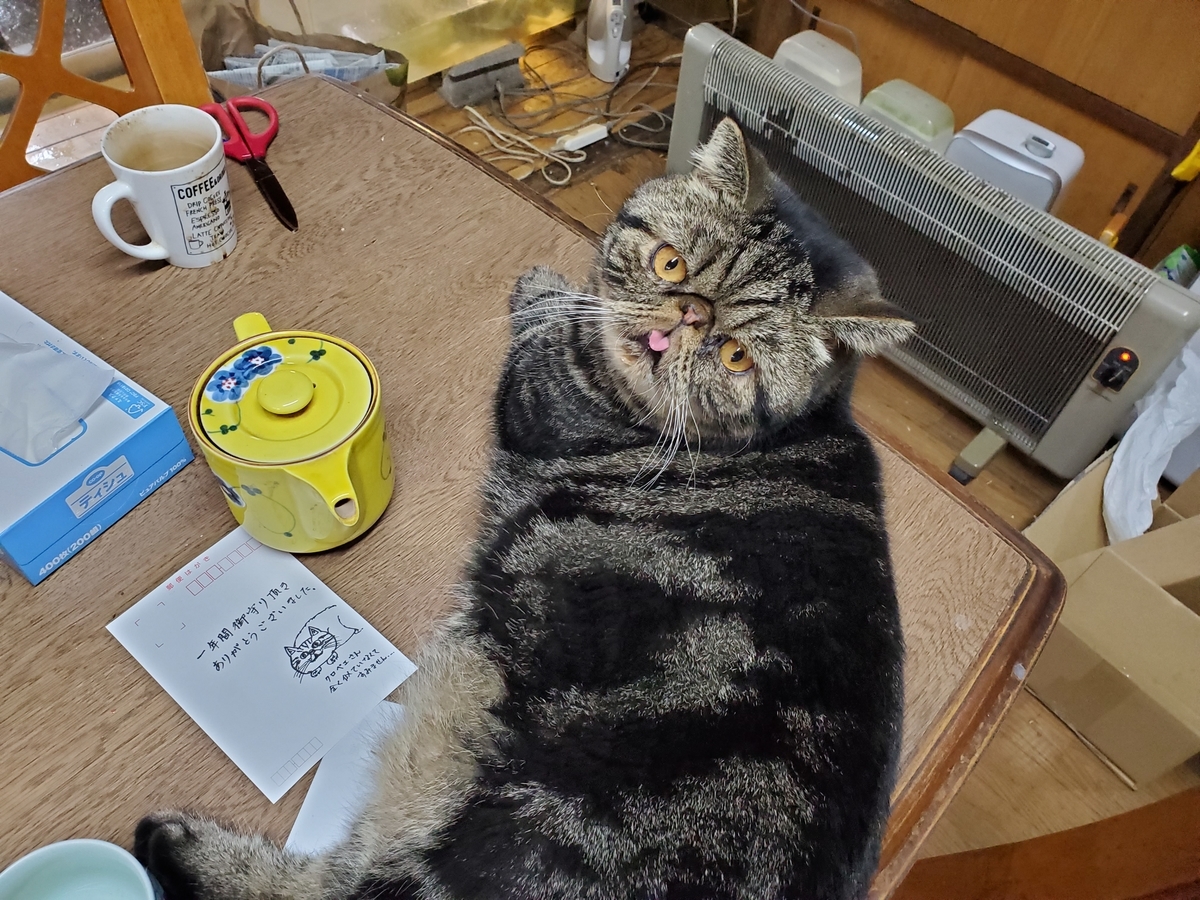 金翅鳥院のブログ