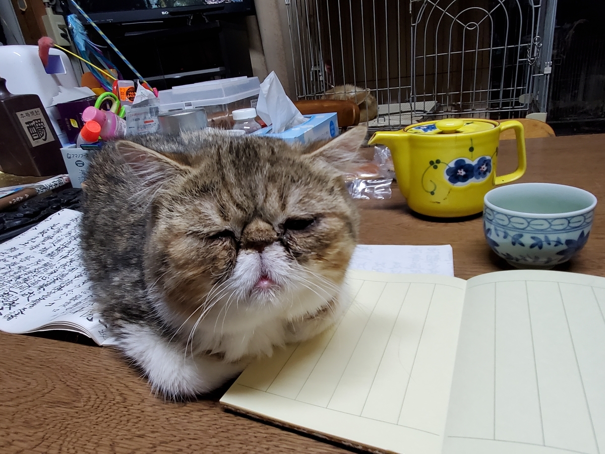 f:id:konjichoin:20200523203552j:plain
