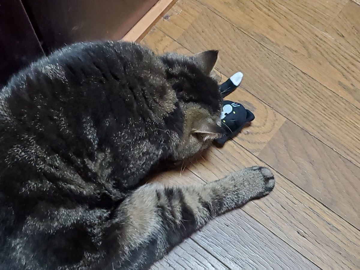 f:id:konjichoin:20200529201932j:plain