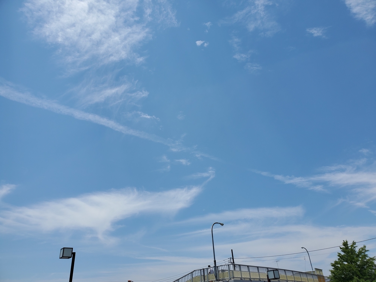 f:id:konjichoin:20200530171505j:plain f:id:konjichoin:20200530171505j:plain