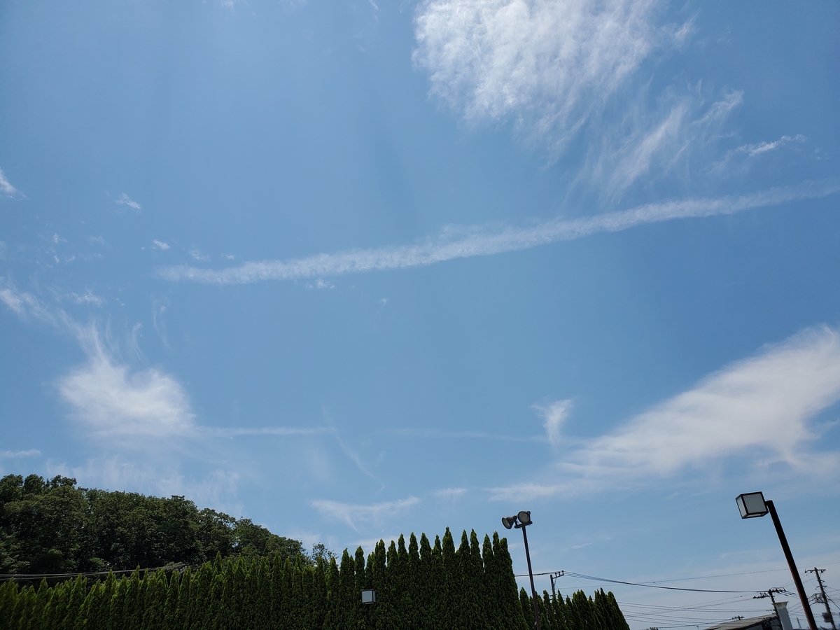 f:id:konjichoin:20200530171555j:plain f:id:konjichoin:20200530171555j:plain