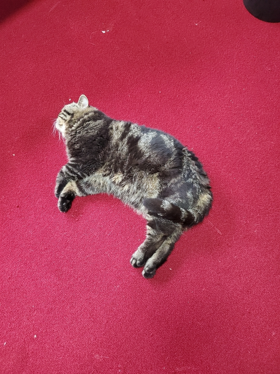 f:id:konjichoin:20200711180710j:plain