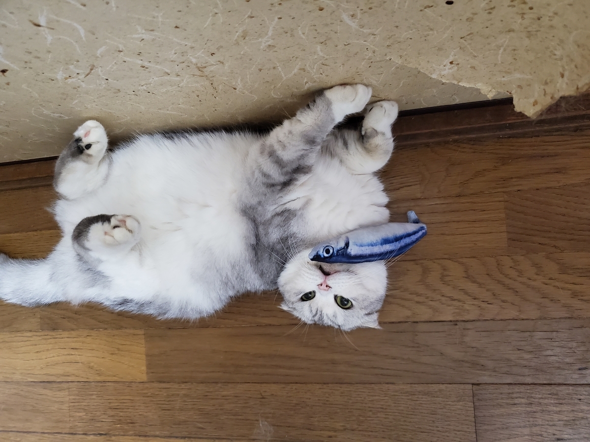 f:id:konjichoin:20200713093715j:plain