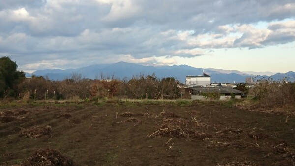 f:id:konjichoin:20200729112029j:plain f:id:konjichoin:20200729112029j:plain
